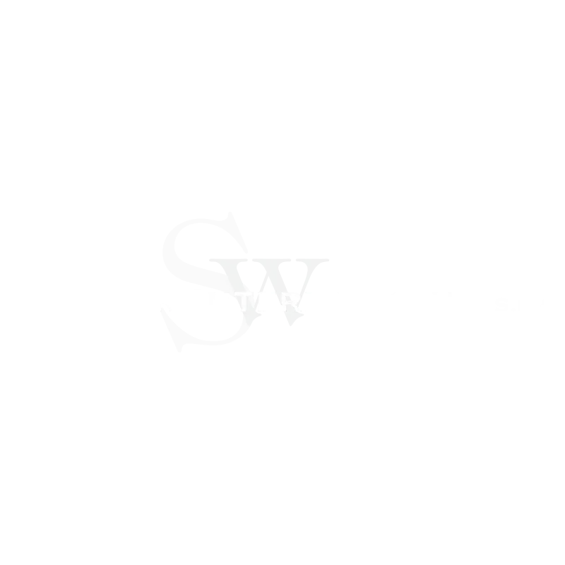 swinger-international